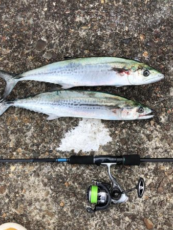 スーパーライトショアジギング